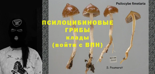 гашик Арсеньев