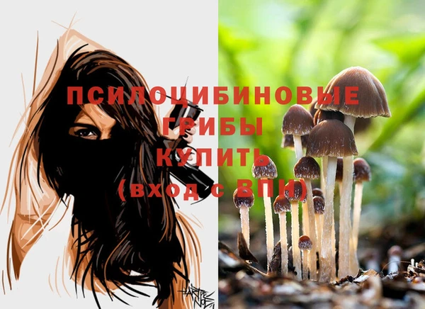 круглые Аркадак